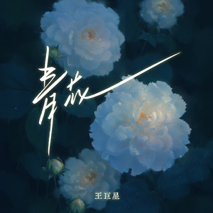 帅小伙男男裸体按摩视频
