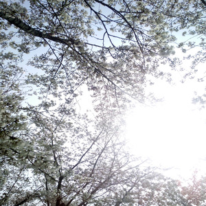 帅小伙男男裸体按摩视频
